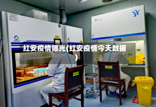 红安疫情曝光(红安疫情今天数据)-第2张图片