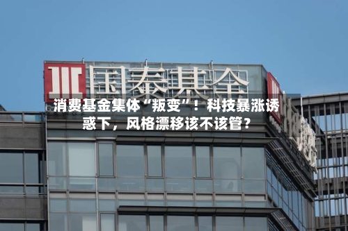 消费基金集体“叛变”！科技暴涨诱惑下	，风格漂移该不该管？-第3张图片