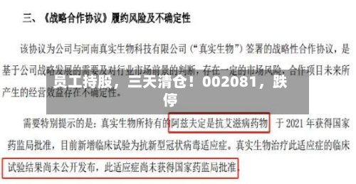员工持股	，三天清仓！002081，跌停-第3张图片