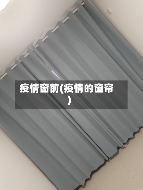 疫情窗前(疫情的窗帘)