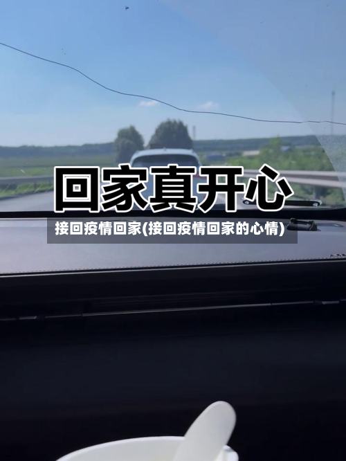接回疫情回家(接回疫情回家的心情)-第2张图片