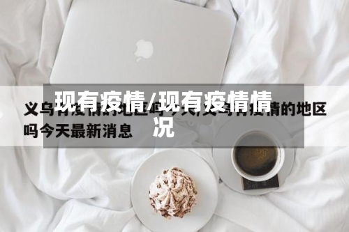 现有疫情/现有疫情情况