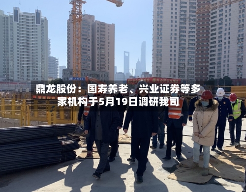 鼎龙股份：国寿养老、兴业证券等多家机构于5月19日调研我司-第2张图片