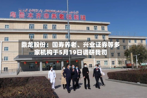 鼎龙股份：国寿养老、兴业证券等多家机构于5月19日调研我司-第3张图片