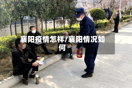 襄阳疫情怎样/襄阳情况如何-第2张图片