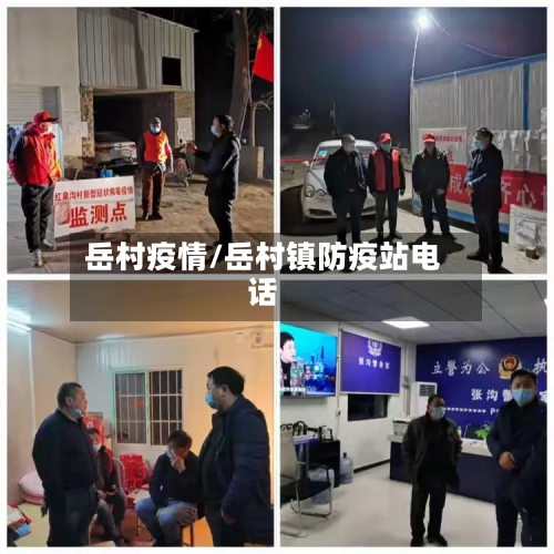 岳村疫情/岳村镇防疫站电话-第2张图片