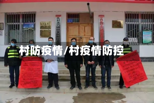村防疫情/村疫情防控