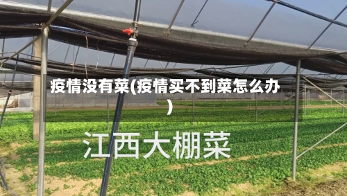 疫情没有菜(疫情买不到菜怎么办)