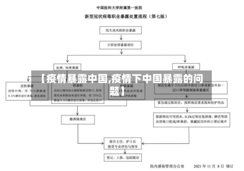 【疫情暴露中国,疫情下中国暴露的问题】-第2张图片