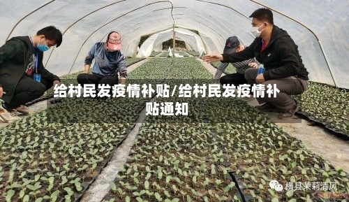 给村民发疫情补贴/给村民发疫情补贴通知-第3张图片
