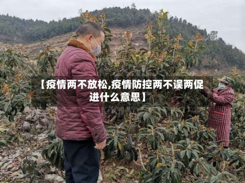 【疫情两不放松,疫情防控两不误两促进什么意思】