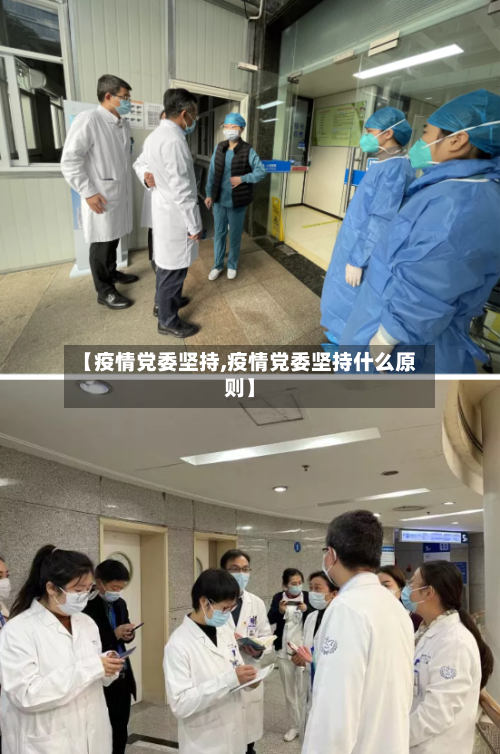 【疫情党委坚持,疫情党委坚持什么原则】