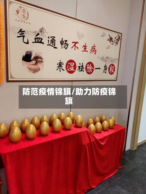 防范疫情锦旗/助力防疫锦旗