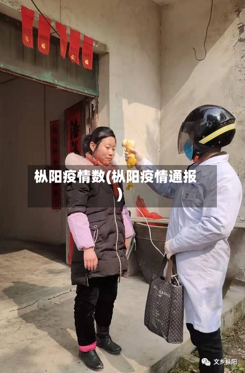 枞阳疫情数(枞阳疫情通报)-第3张图片