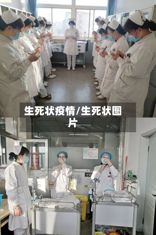 生死状疫情/生死状图片-第2张图片
