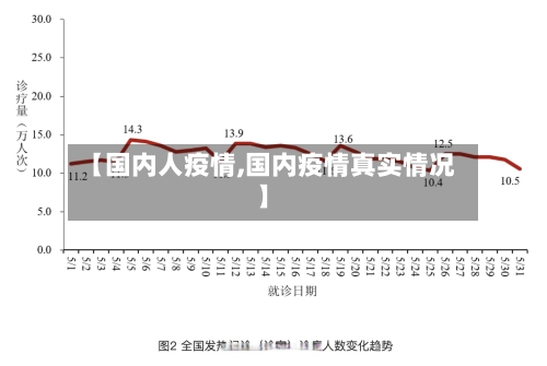 【国内人疫情,国内疫情真实情况】-第3张图片