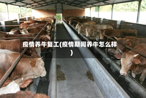 疫情养牛复工(疫情期间养牛怎么样)-第3张图片
