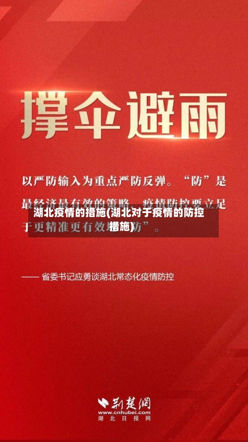 湖北疫情的措施(湖北对于疫情的防控措施)-第3张图片
