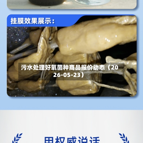 污水处理好氧菌种商品报价动态（2026-05-23）