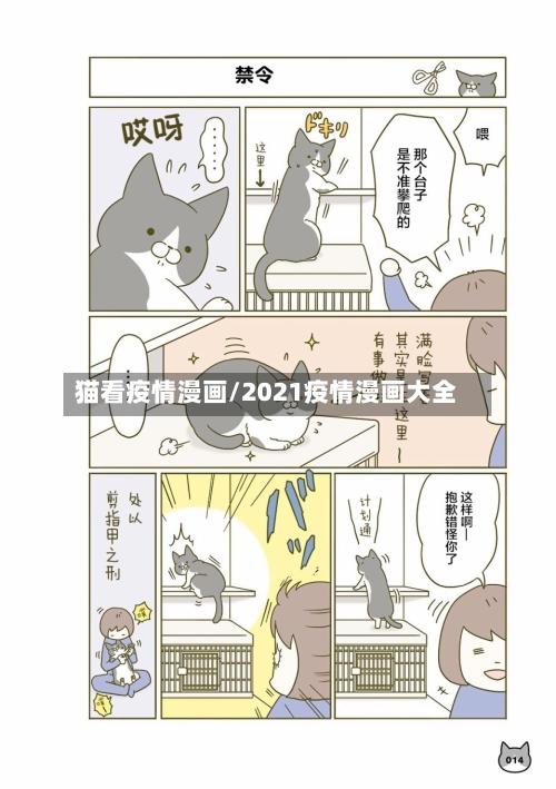 猫看疫情漫画/2021疫情漫画大全