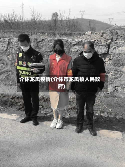 介休龙凤疫情(介休市龙凤镇人民政府)