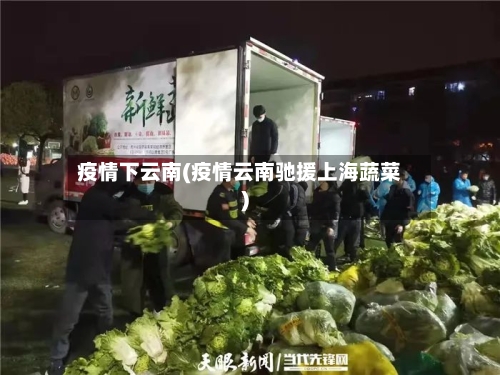 疫情下云南(疫情云南驰援上海蔬菜)