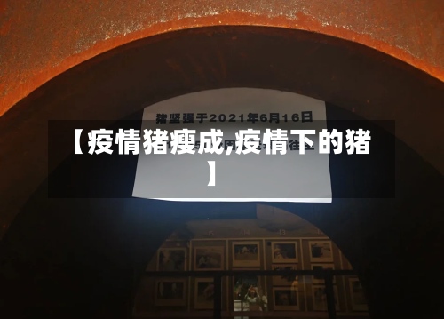 【疫情猪瘦成,疫情下的猪】