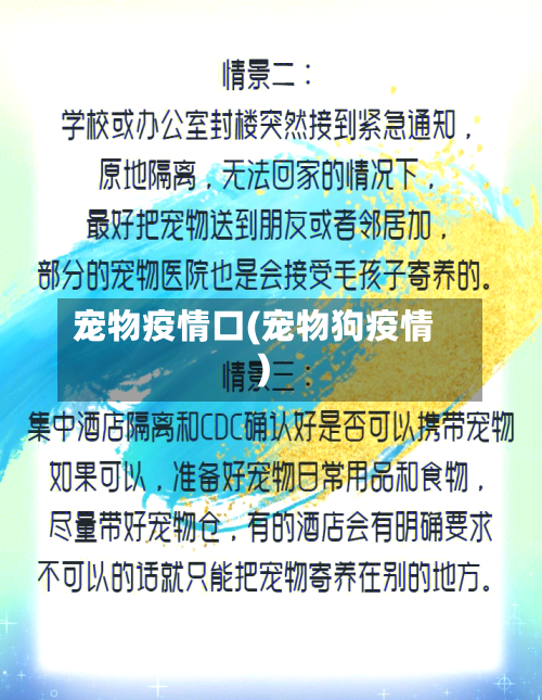 宠物疫情口(宠物狗疫情)