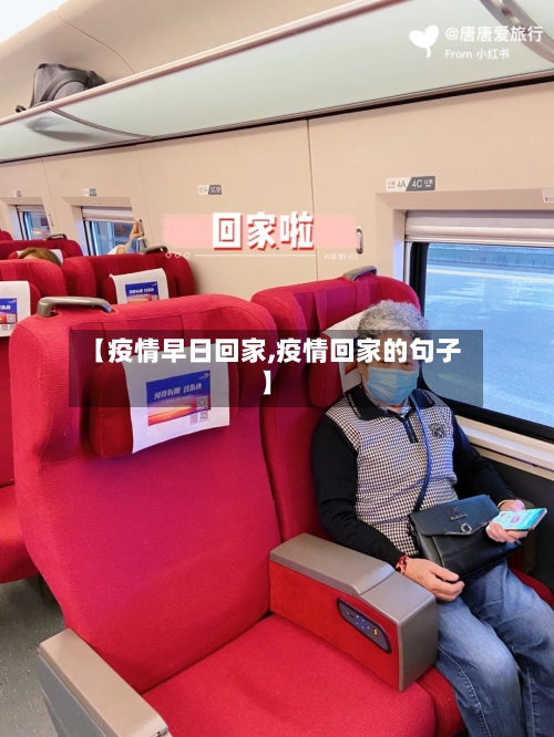【疫情早日回家,疫情回家的句子】