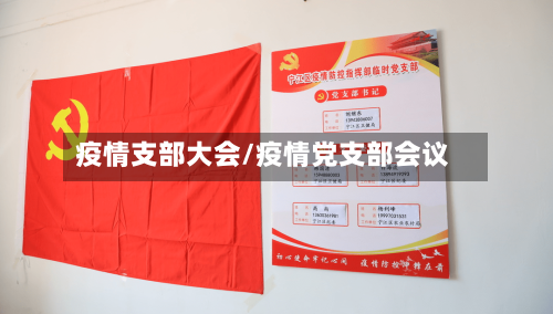 疫情支部大会/疫情党支部会议-第2张图片