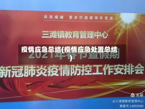 疫情应急总结(疫情应急处置总结)