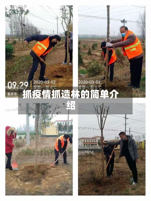 抓疫情抓造林的简单介绍-第2张图片