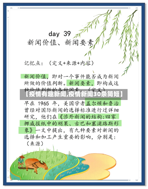 【疫情有趣新闻,疫情新闻30条简短】