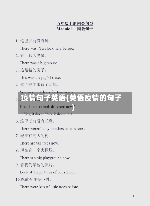 疫情句子英语(英语疫情的句子)-第3张图片