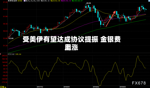 受美伊有望达成协议提振 金银费用上涨-第2张图片