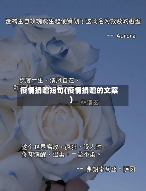 疫情捐赠短句(疫情捐赠的文案)