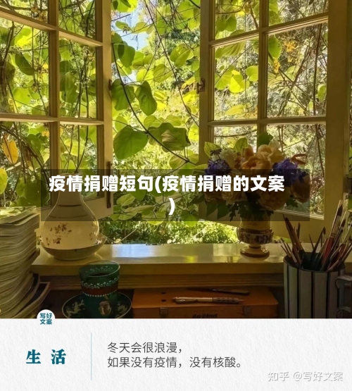 疫情捐赠短句(疫情捐赠的文案)-第3张图片