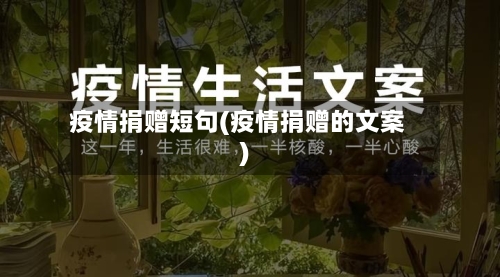 疫情捐赠短句(疫情捐赠的文案)-第2张图片