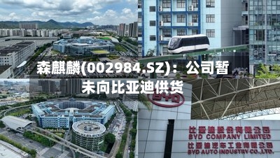 森麒麟(002984.SZ)：公司暂未向比亚迪供货