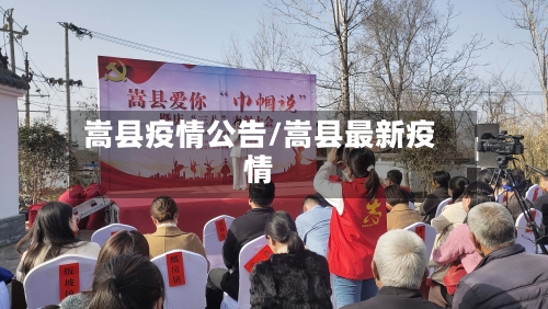 嵩县疫情公告/嵩县最新疫情-第3张图片