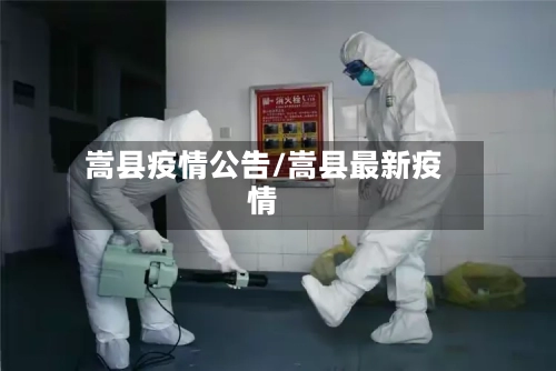 嵩县疫情公告/嵩县最新疫情-第2张图片