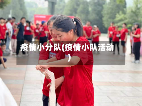 疫情小分队(疫情小队活动)