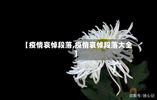 【疫情哀悼段落,疫情哀悼段落大全】-第2张图片