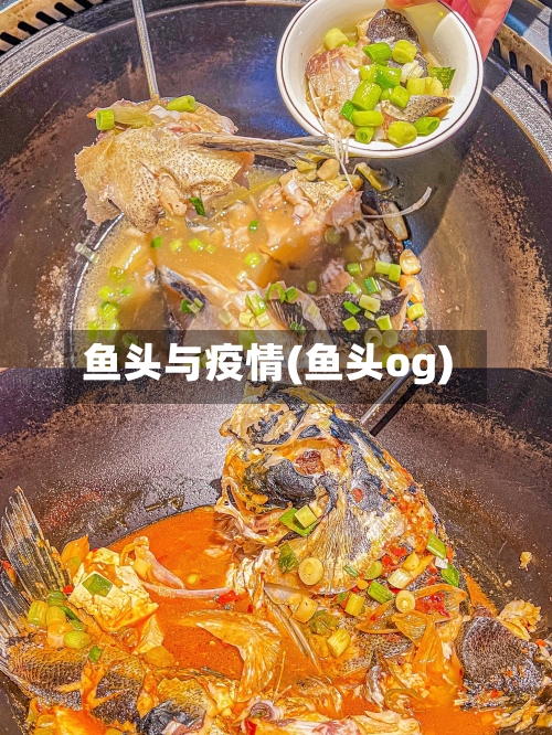 鱼头与疫情(鱼头og)-第2张图片
