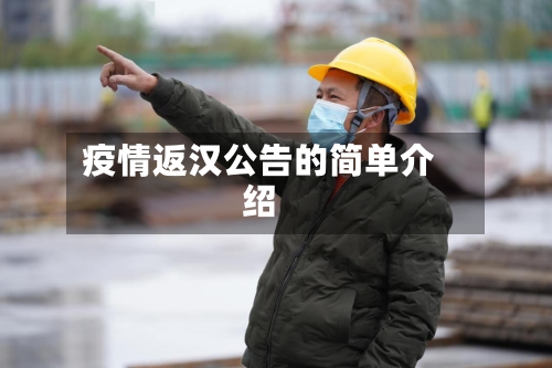 疫情返汉公告的简单介绍-第3张图片