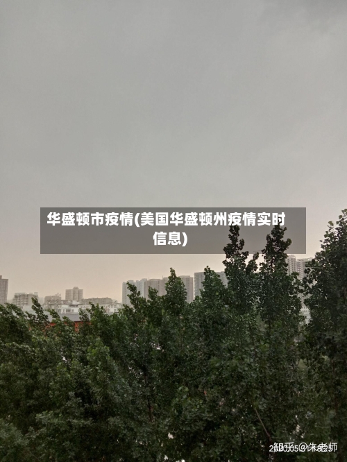 华盛顿市疫情(美国华盛顿州疫情实时信息)-第3张图片