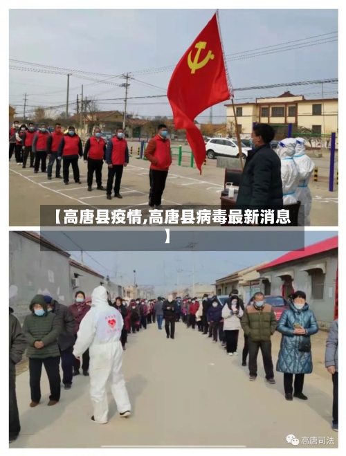 【高唐县疫情,高唐县病毒最新消息】-第2张图片