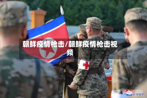 朝鲜疫情枪击/朝鲜疫情枪击视频-第3张图片