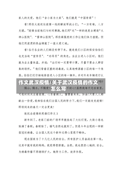 作文武汉疫情/关于武汉疫情的作文怎么写-第2张图片
