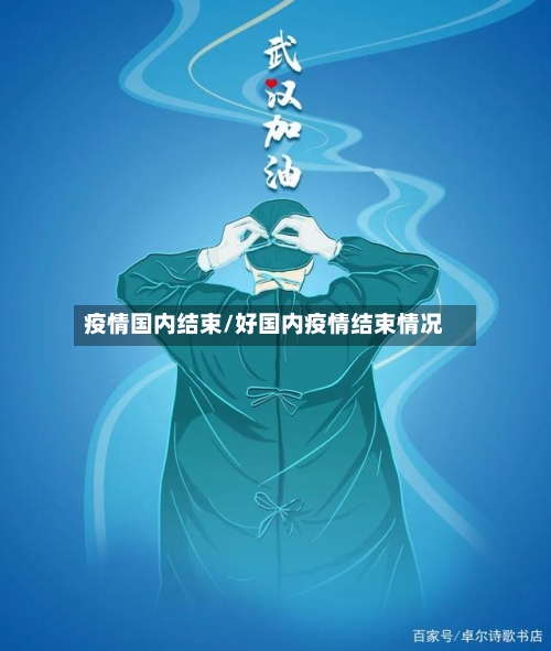 疫情国内结束/好国内疫情结束情况-第2张图片